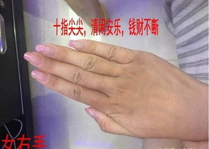 手相 女性手指长 短代表的意义,与你幸福息息相关哦