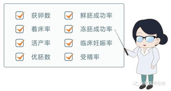 一篇文章告诉你,试管成功率最大化的秘密