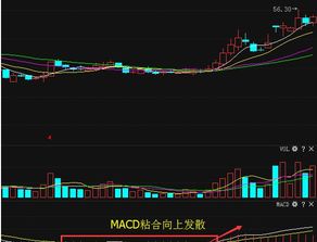 股市macd的由来和应用？