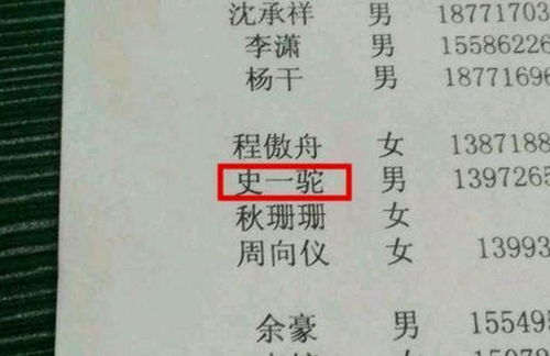 戚姓女孩起名两个字大全