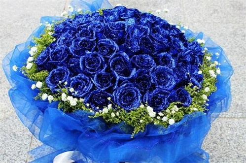 蓝色玫瑰 花语,蓝色玫瑰花语代表什么