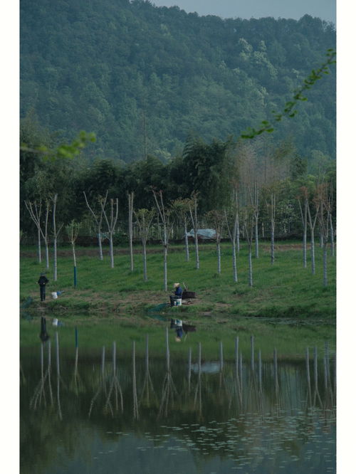 旅游风光分享 永康宝藏地方 