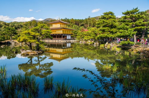比较好的旅游网站,目的地：京都，日本