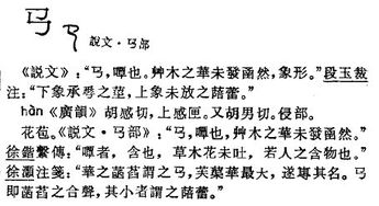 一匹马的拼音怎么读?一匹马读音是什么?一匹马怎么念？?一匹马正确拼音是什么