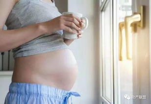 胎儿猛增长得三个信号 孕妈营养赶紧跟上来