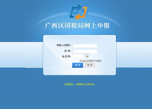 广西发票查询真伪查询官网 广西国税网上申报的详细操作流程是什么