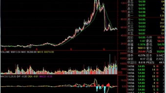 股票技术分析，股票技术分析视频教程在哪里可以找到？我是炒股2周了，是个炒股新手，