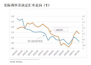 从国外外汇投资者的角度 解释 国内好多人做外汇为什么亏钱！