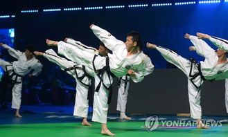 韩国跆拳道表演视频,震撼人心:惊人的跆拳道技巧的海报
