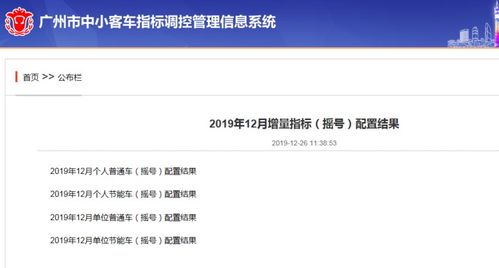 广州车牌摇号结果怎么看,广州车牌摇号结果查看全攻略-第5张图片
