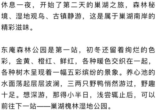 在希望的田野上 系列报道139 与冬日里的大湖相恋,感受自然风光和人文气息