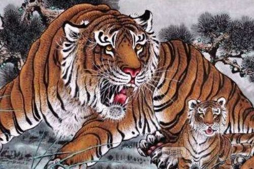 1986年属虎的的灾难年龄是几岁,如何化解