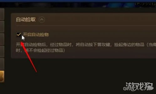 dnf游戏内置自动拾取,dnf怎么开启自动捡东西