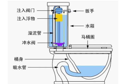 直冲式马桶内部结构图图片