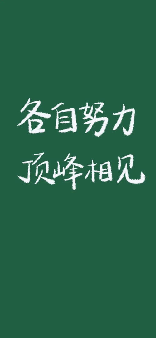 抖音文字壁纸锁屏 有没有你喜欢的句子 