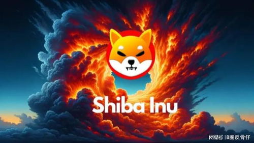  SHIB,SHIBҵķϳֻг 