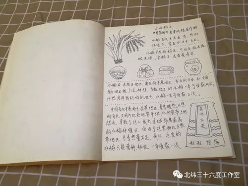 粗线条老师的精致本本 七上地理绘本 