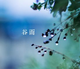 每日运势播报4月20日 谷雨