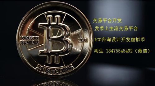 比特币众筹 ico,什么是ICO众筹