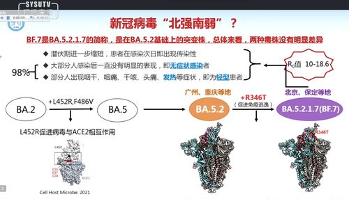 新冠病毒“北强南弱”为何不主张“大家一起阳”(为什么新冠都是北方)