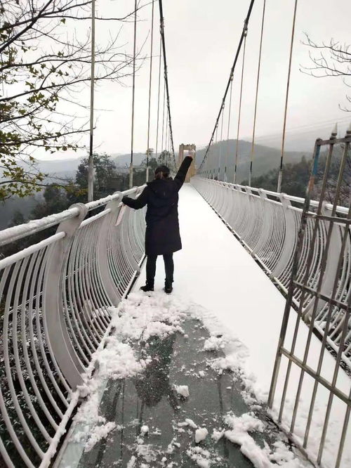 冻 真格 南昌下雪了 八景到底下没下雪