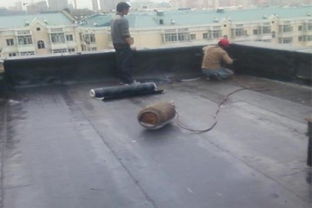 屋顶防水材料有哪些 屋顶防水施工的注意事宜
