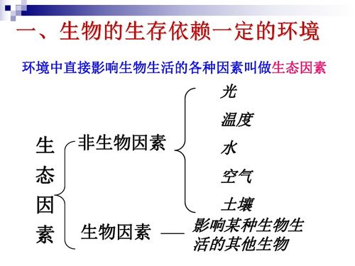 生物与环境之间的关系是相互,生物与环境的关系是（　　）A．相互影响，毫无作用B．相互影响，毫无影响C．毫无关系D．相互影响，相互作-第1张图片