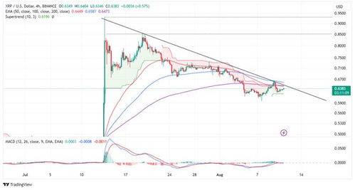 瑞波币发行价多少钱一个,xrp最高价格涨到多少 瑞波币发行价多少钱一个,xrp最高价格涨到多少 应用