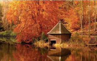 爱在深秋的意思,晚秋的滤镜:时间的洗礼