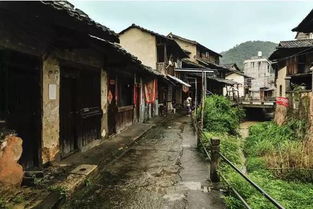 冯骥才 古城已完蛋,别再祸害古村 振聋发聩