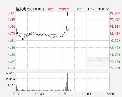 桂东电力明天会涨吗