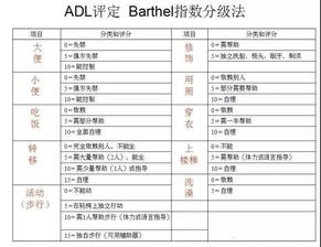 日常生活能力评定量表 搜狗图片搜索