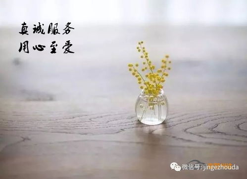 为梦想冲刺,为品质喝彩