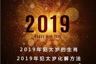 2019猪年运气最好,超级火旺的六大生肖,有你吗