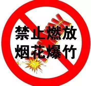 烟花爆竹,成武全县域禁放 再次提醒