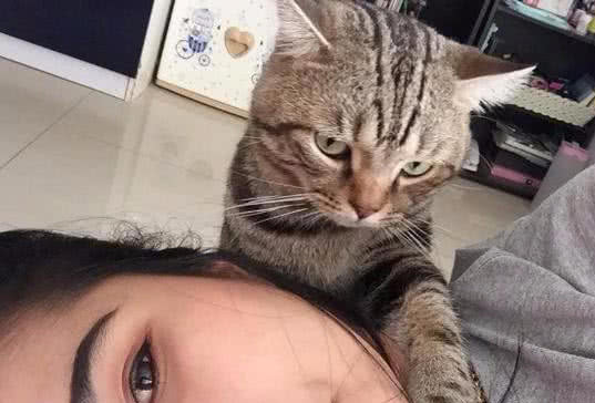 女主人和小猫的宠溺日常,说亲就亲了,宠主也有点猝不及防 