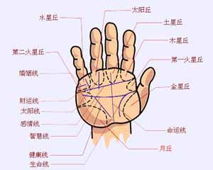 两只手掌心都有痣手相 大富手相
