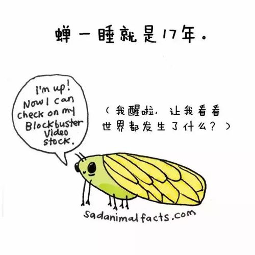 蠢萌小漫画告诉你的那些冷知识