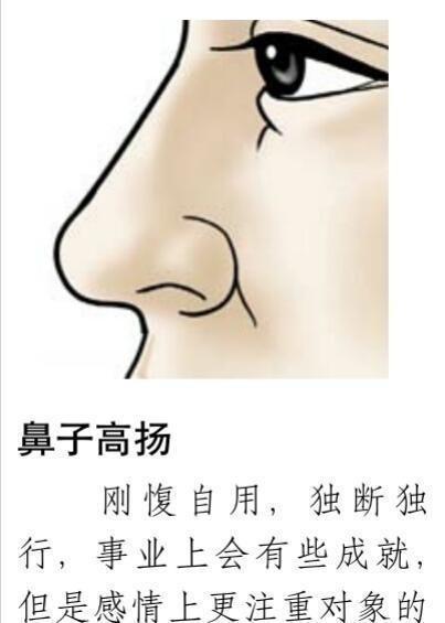 鼻子看运势,什么样的鼻子会带来好运 哪些鼻子会阻碍运势发展