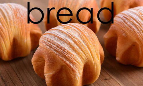 面包英文怎么读音 