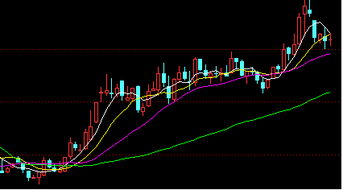 5日均线、10日均线后面的数据代表什么意思？