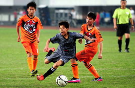 中国足球超级联赛网站,中国足球超级联赛官网概述