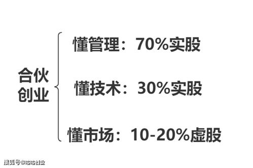 又出资又出管理技术如何划分股权？