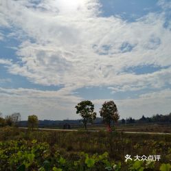 电话,地址,价格,营业时间 红安县生活服务 