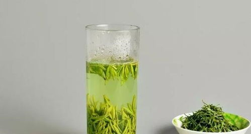 摩羯座喜欢的绿茶(摩羯座喜欢的绿茶有哪些)