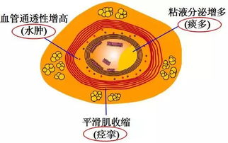 有哪些药物可以缓解半个身体麻木的症状？