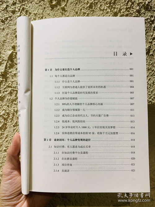 从0到1打造个人品牌 王一九 著品牌营销策划书籍 品牌传播与变现知识付费社群营销流量广告变现品牌定位构建个人品牌 品牌运营书籍