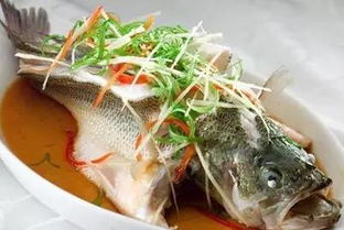清蒸鲈鱼的制作秘诀，让你在餐桌上品味海洋的馈赠！