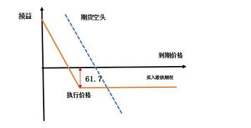 套期保值 看跌期权