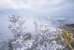 桂林甲天下不仅是山水 桂林的美只有你来过才知道 